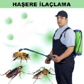 Kürtün Böcek İlaçlama